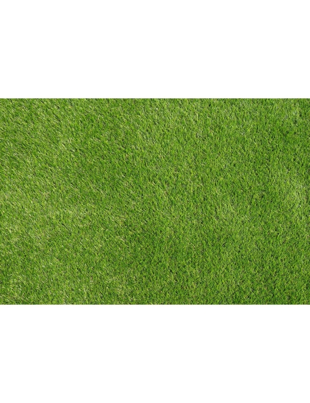 celebes2.jpegSztuczna trawa Celebes rolka 4m 40mm