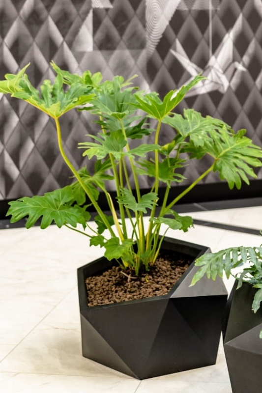 asymetryczna donica do ogrodu