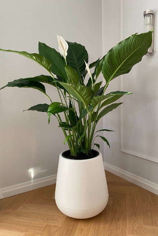 Donica ogrodowa okrągła