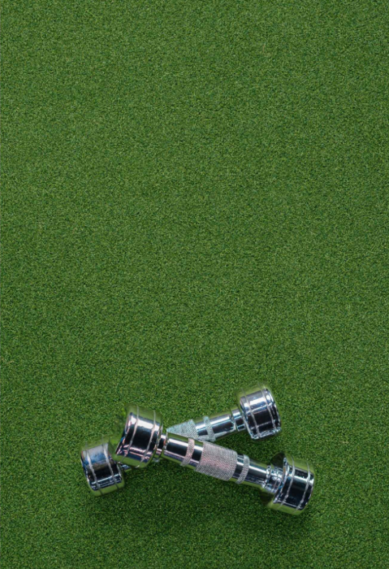 Sztuczna trawa Santa Luiza