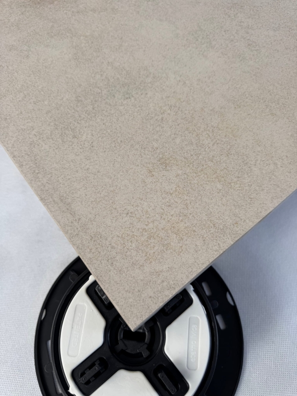 Danzig Natural 60x60x2 cm 2 gatunek
